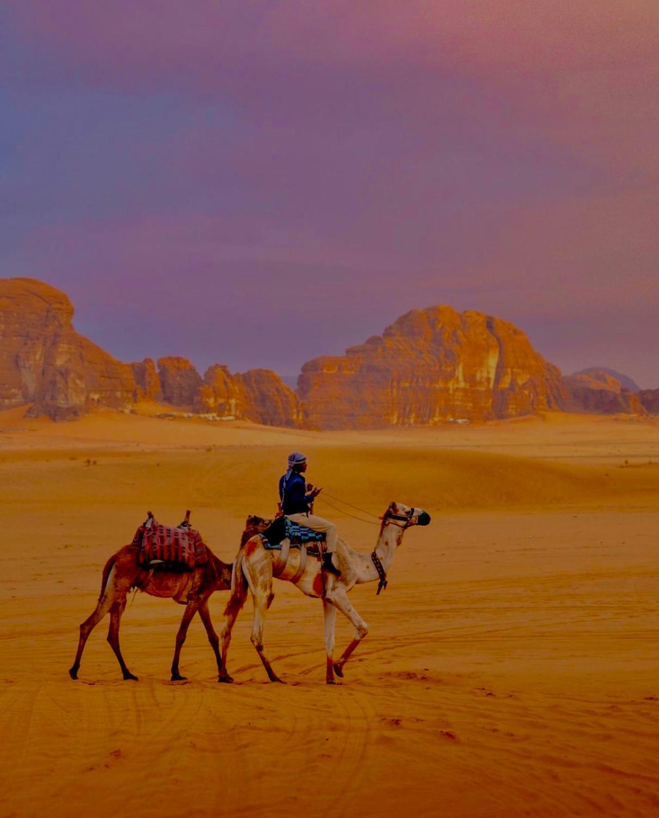 Hidden Wadi Rum Camp Εξωτερικό φωτογραφία