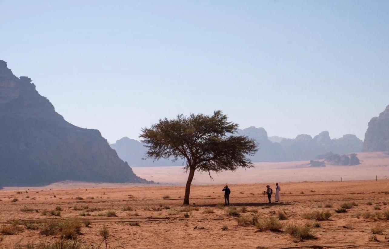 Hidden Wadi Rum Camp Εξωτερικό φωτογραφία