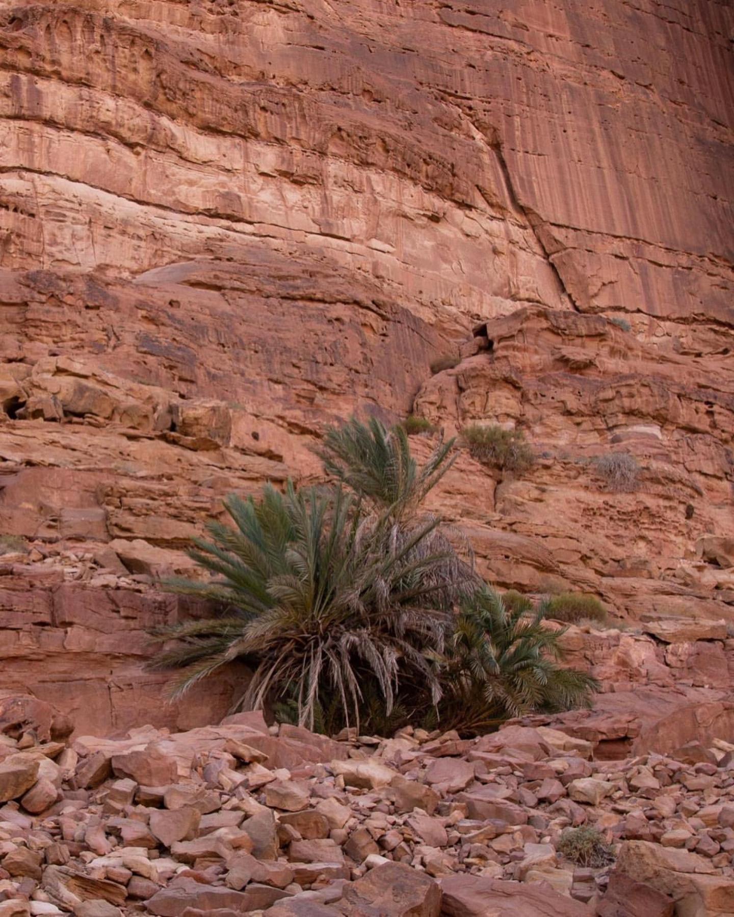 Hidden Wadi Rum Camp Εξωτερικό φωτογραφία
